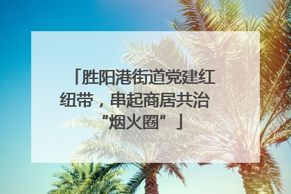 胜阳港街道党建红纽带，串起商居共治 “烟火圈”